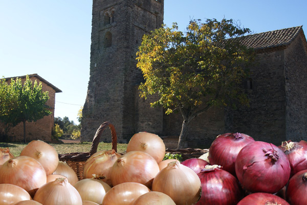 Cebollas